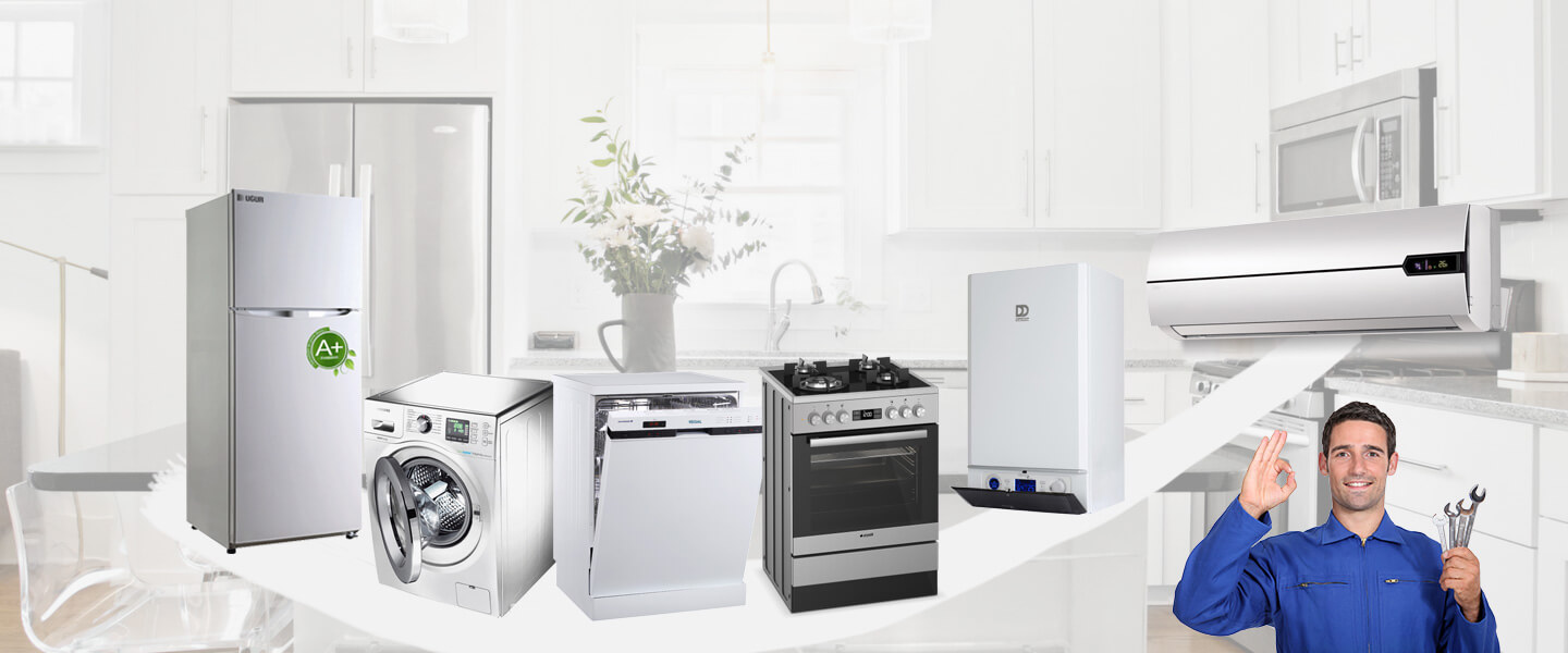 Kiraz Electrolux Servisi